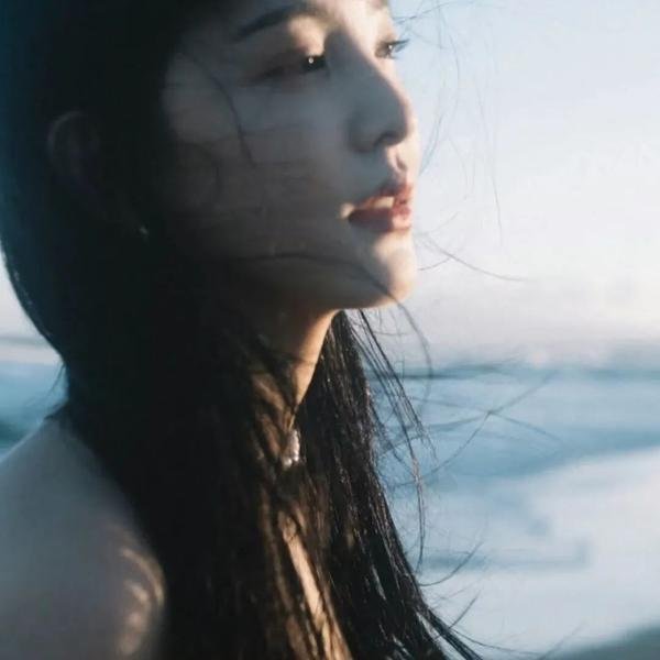 极岛森林第二季